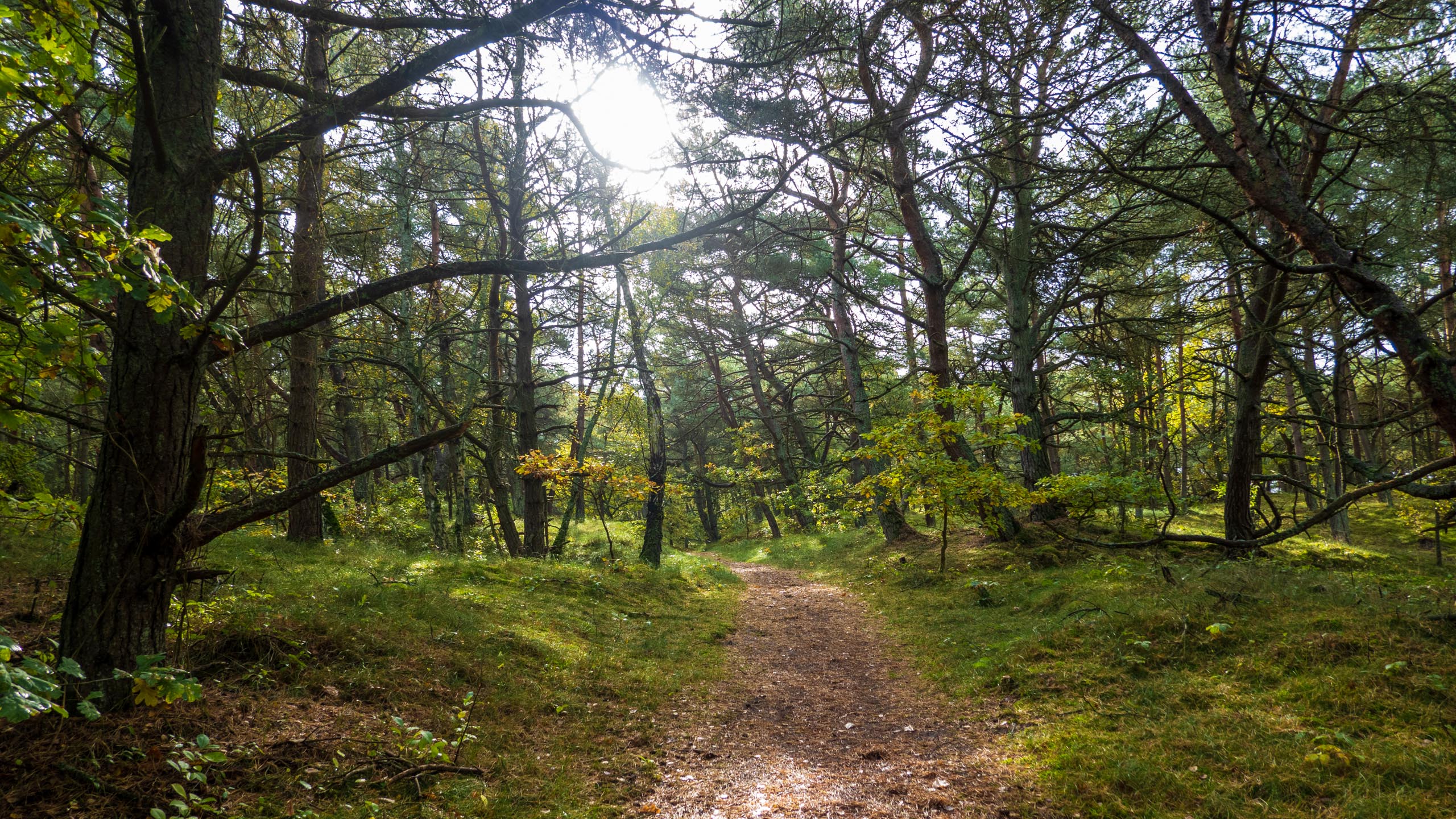 20211017_110931_DSC-RX100M7__DSC2295