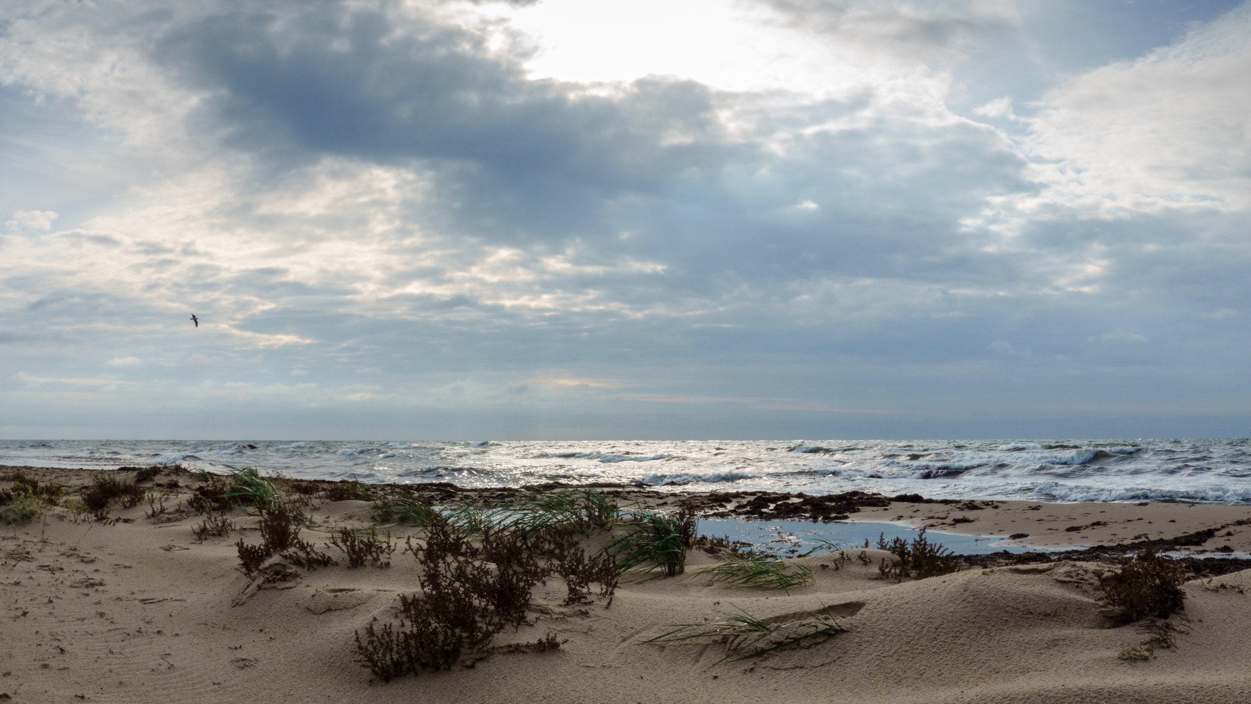 20211017_111617_DSC-RX100M7__DSC2298