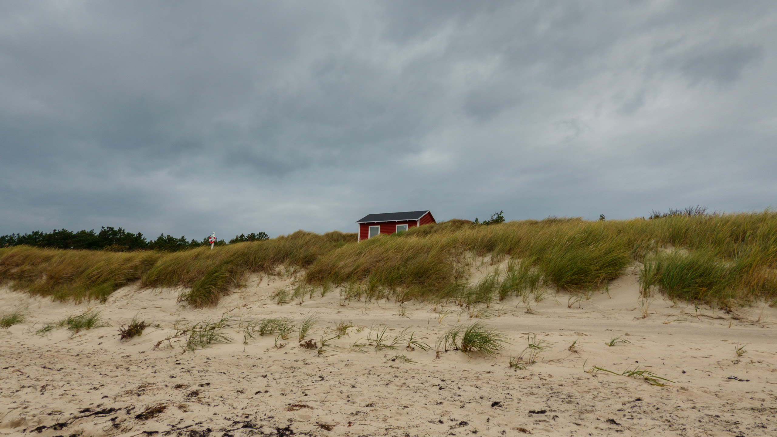 20211020_152604_DSC-RX100M7_DSC02355