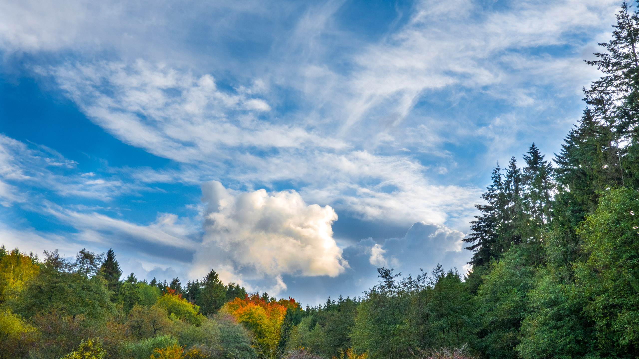 20211022_162215_DSC-RX100M7_DSC02394