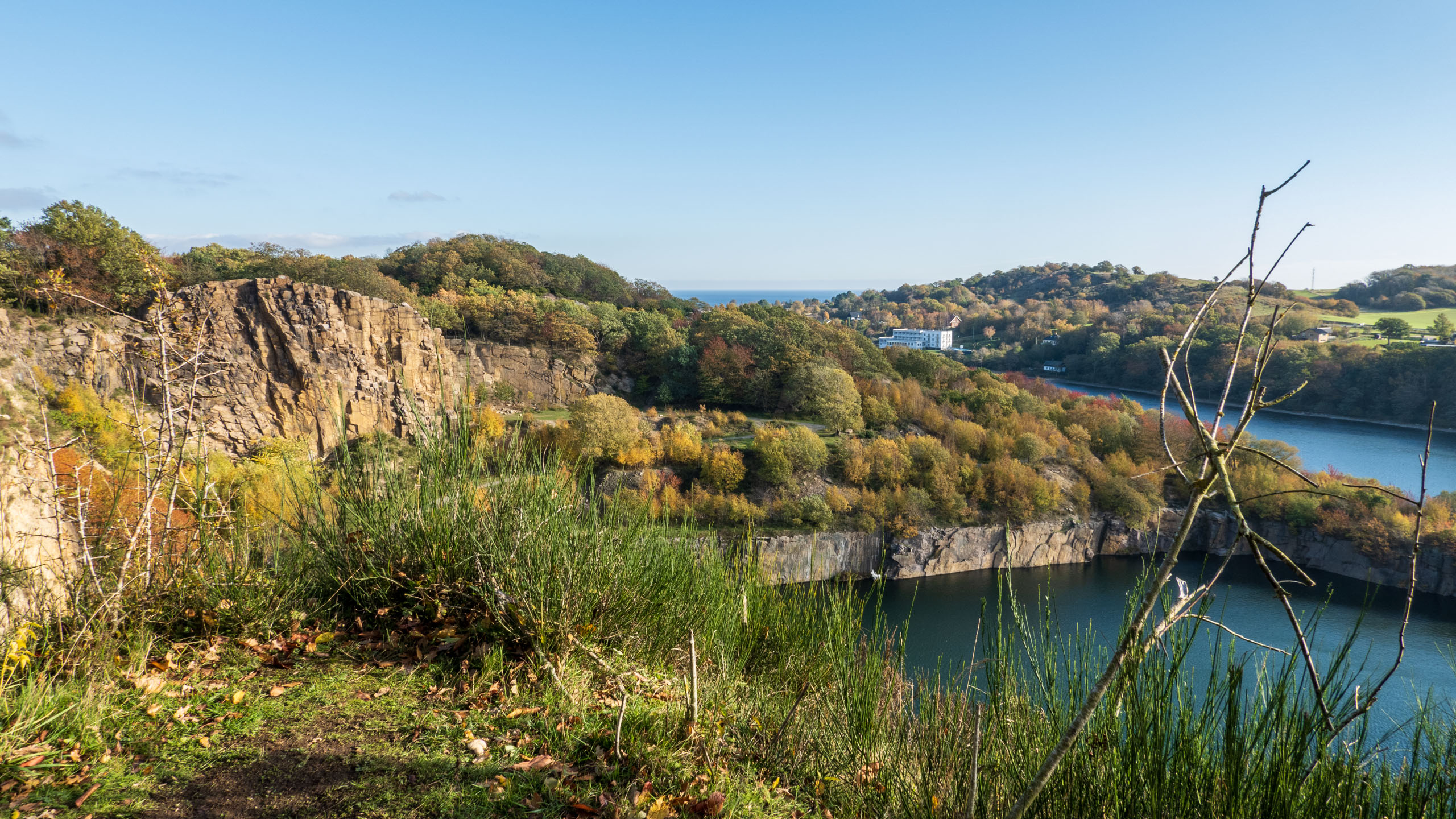 20211025_113906_DSC-RX100M7_DSC02469