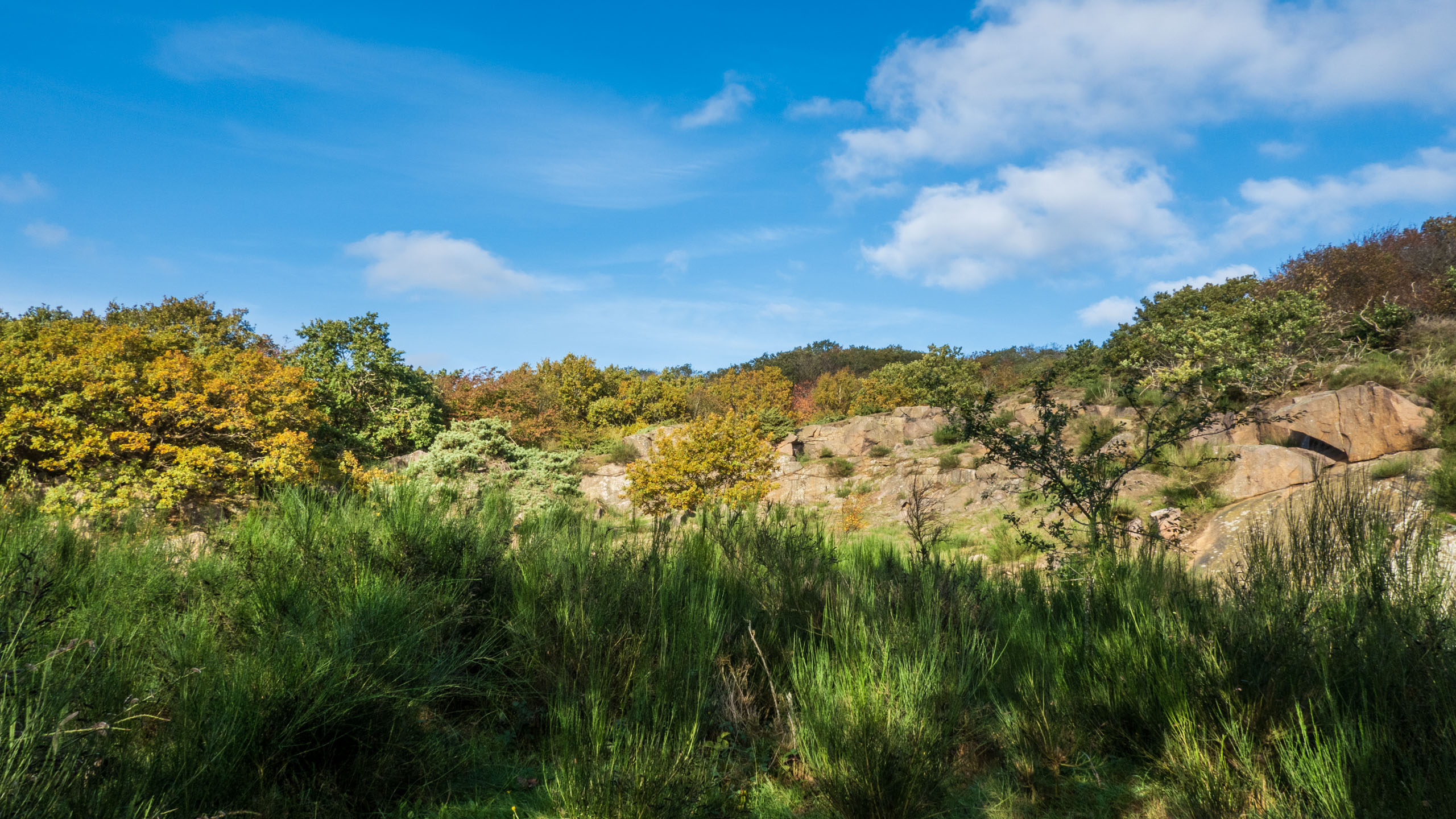 20211025_114411_DSC-RX100M7_DSC02471