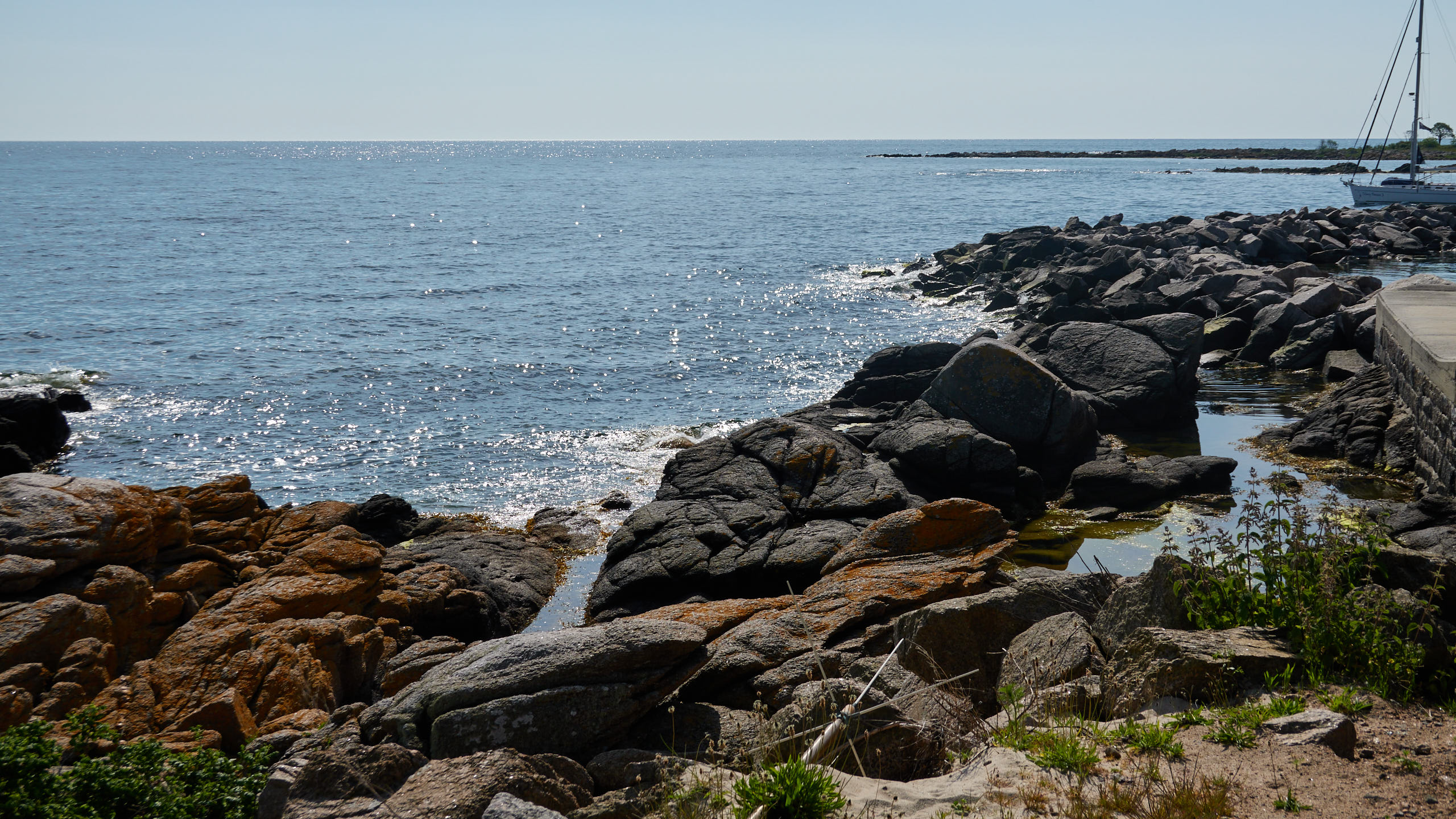 2021-06-05_DSC-RX100M7_DSC00233