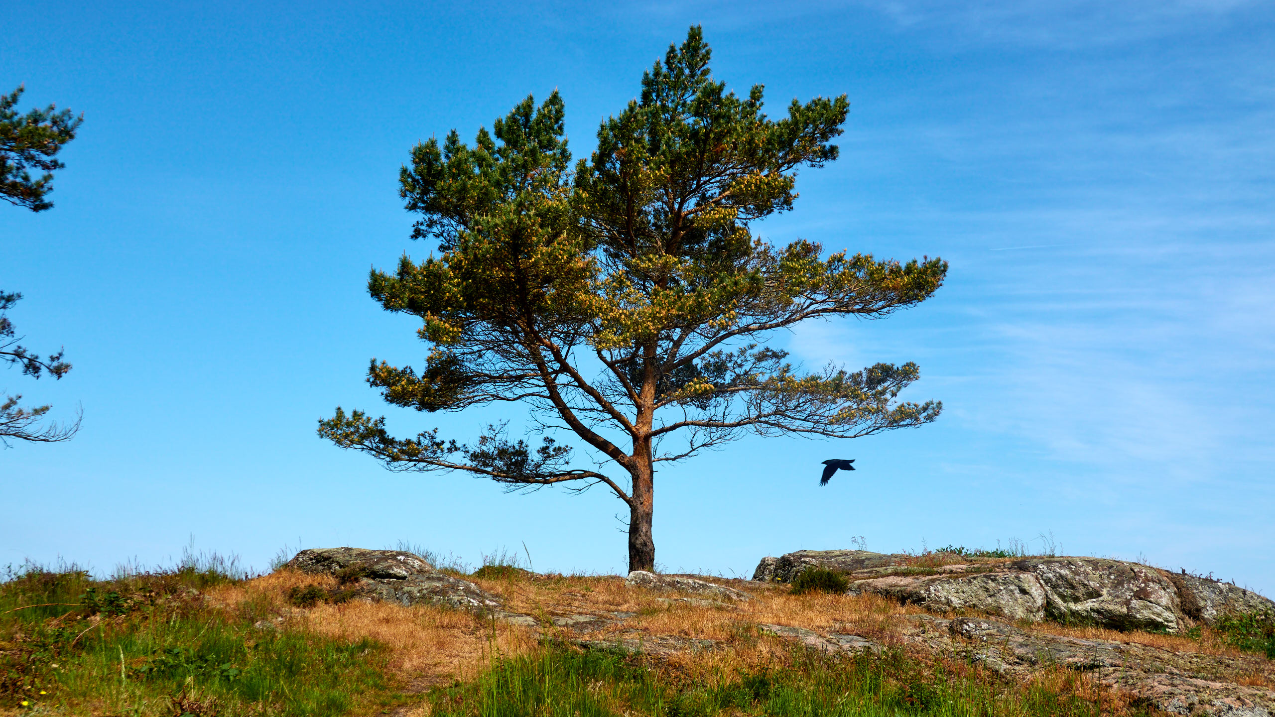 2021-06-05_DSC-RX100M7_DSC00292