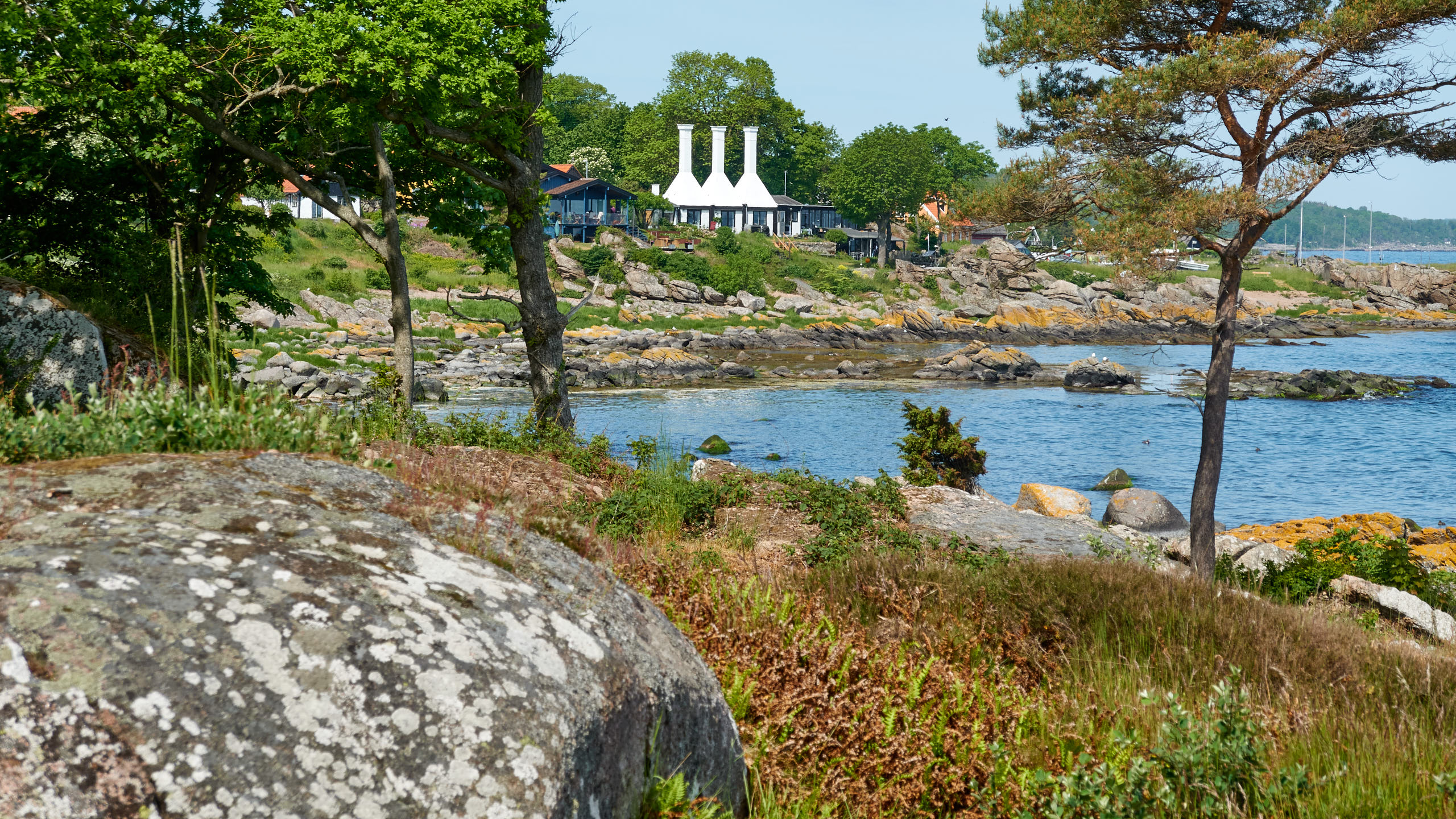 2021-06-05_DSC-RX100M7_DSC00293