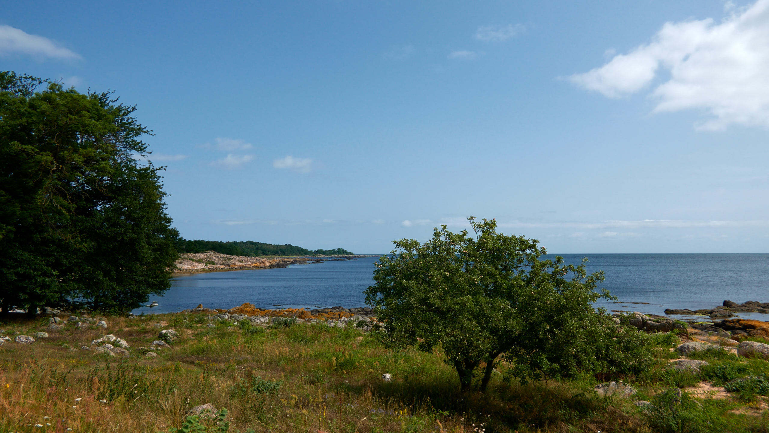 20210718_111955_DSC-RX100M7_DSC00992