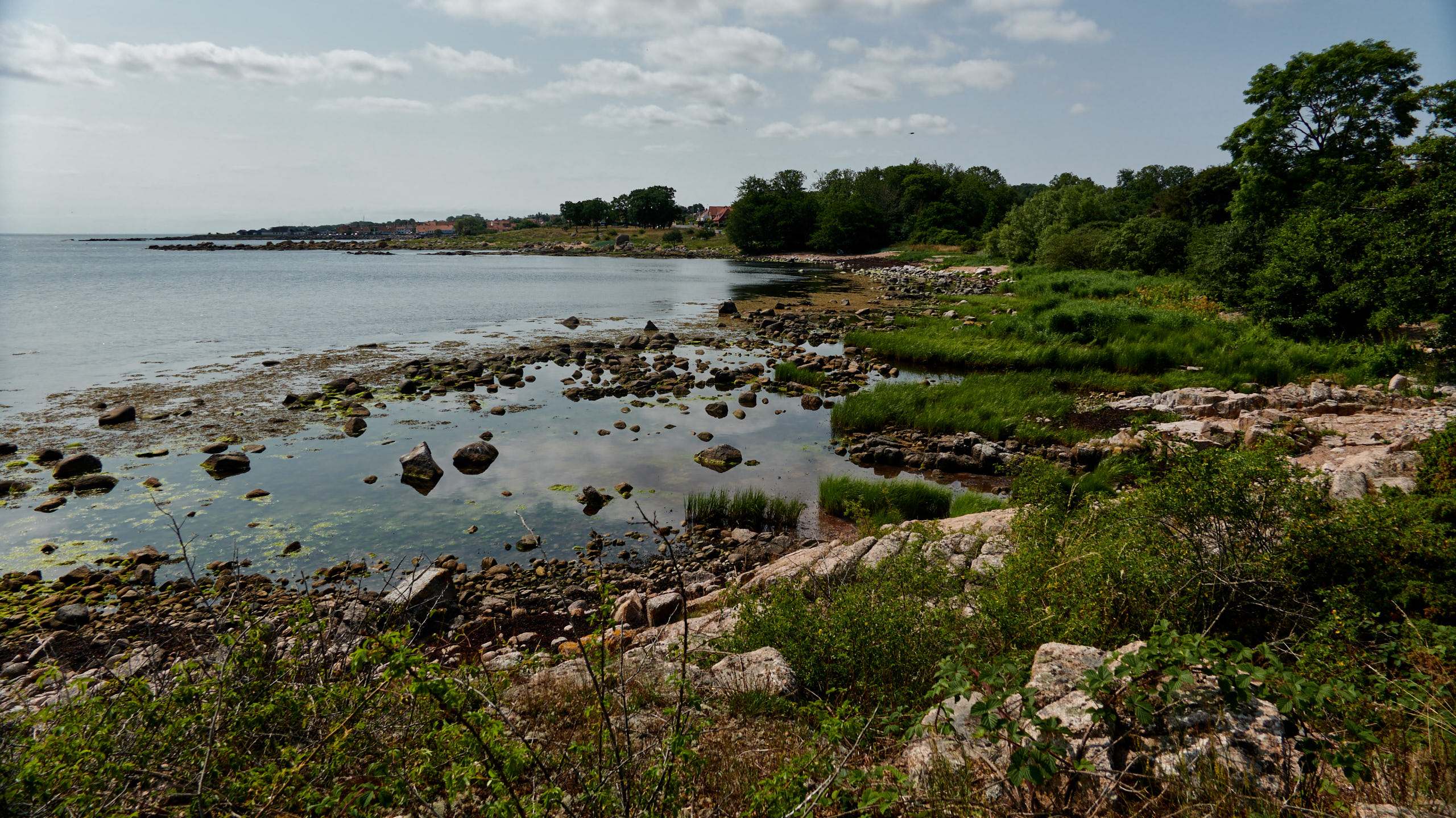 20210718_112506_DSC-RX100M7_DSC00993