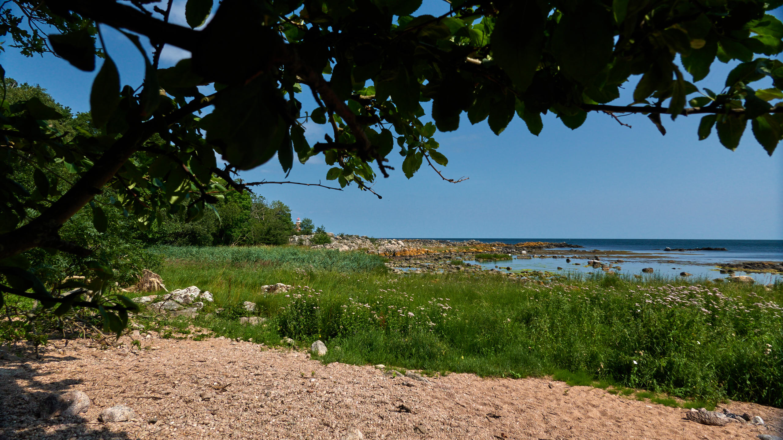 20210718_115921_DSC-RX100M7_DSC01022