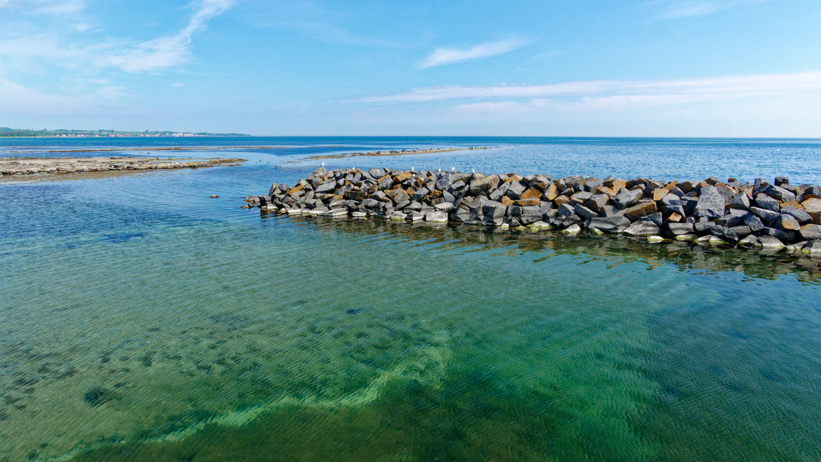 2021-06-10_DSC-RX100M7_DSC00341