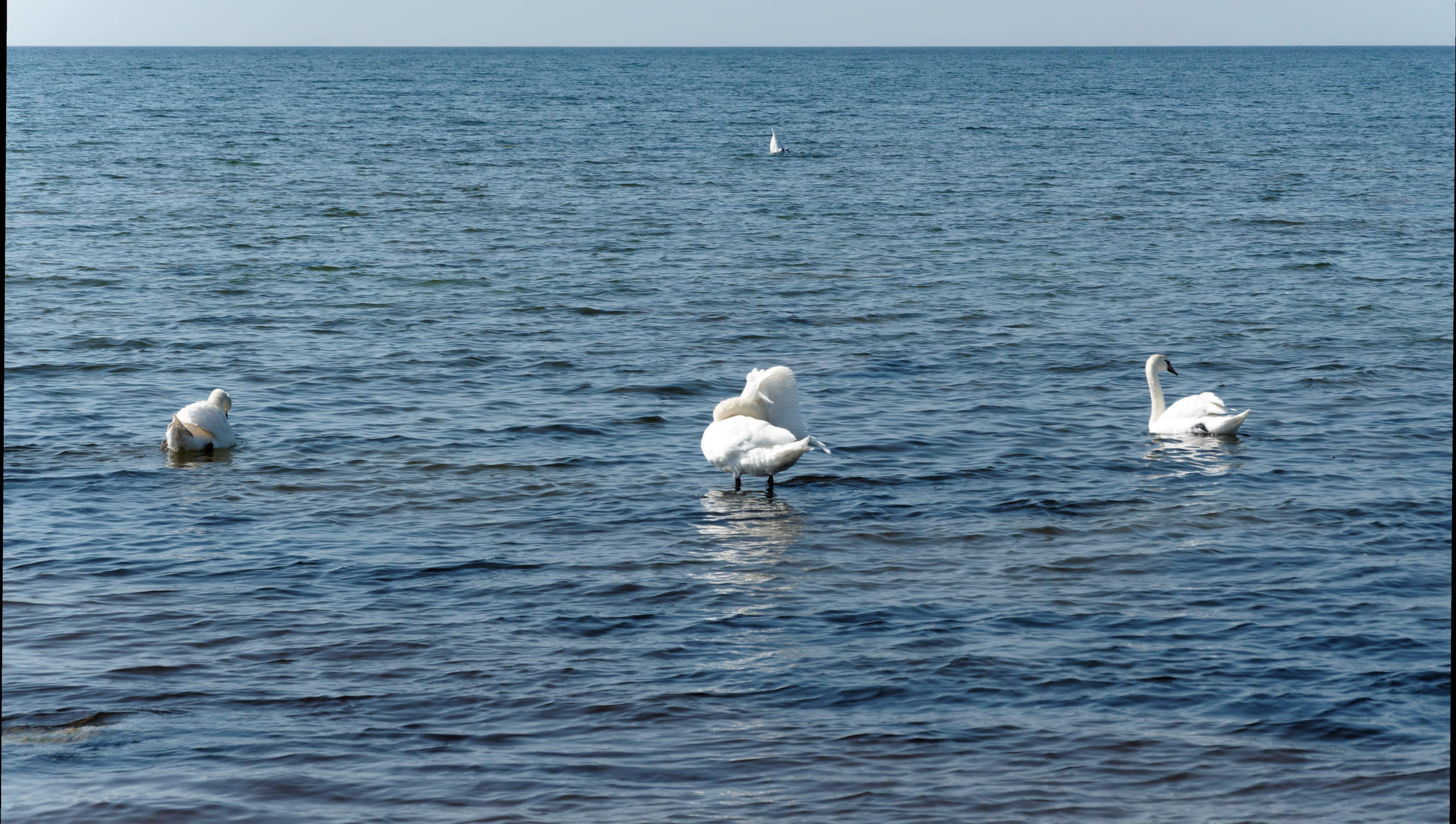 2021-06-03_DSC-RX100M7_DSC00118