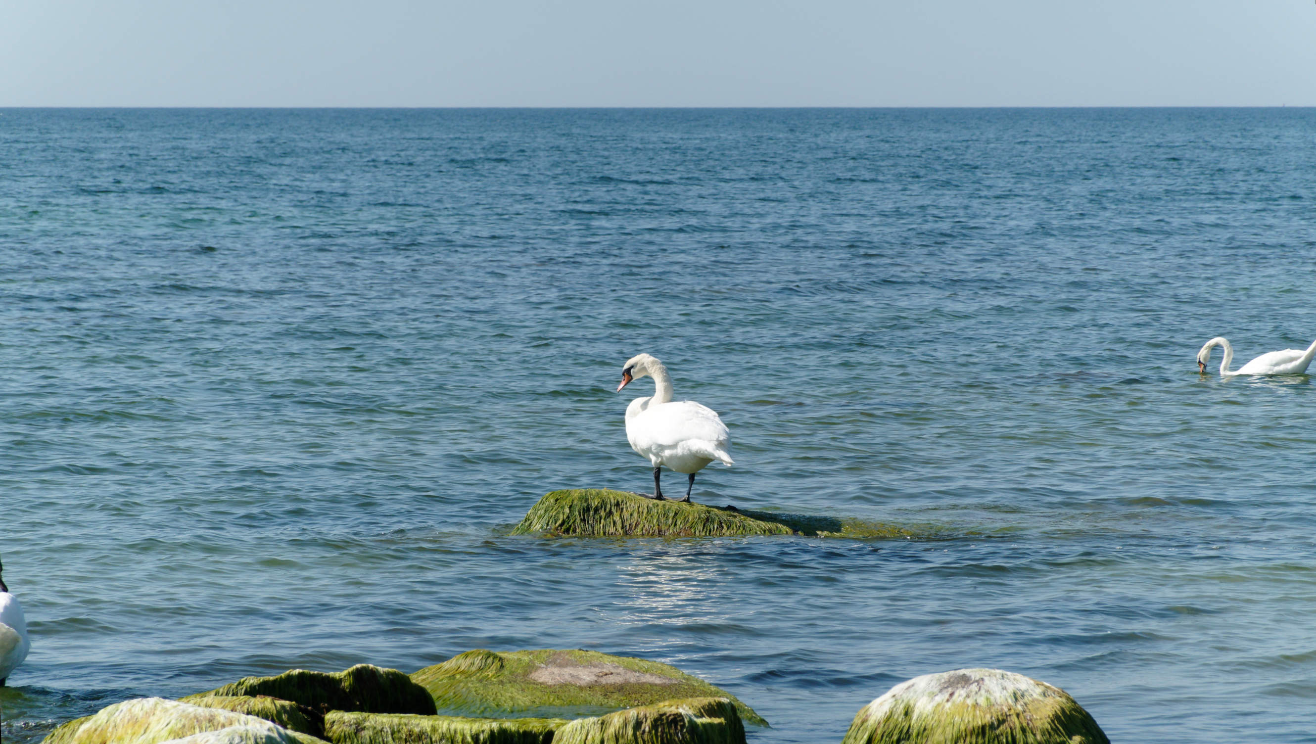 2021-06-03_DSC-RX100M7_DSC00119