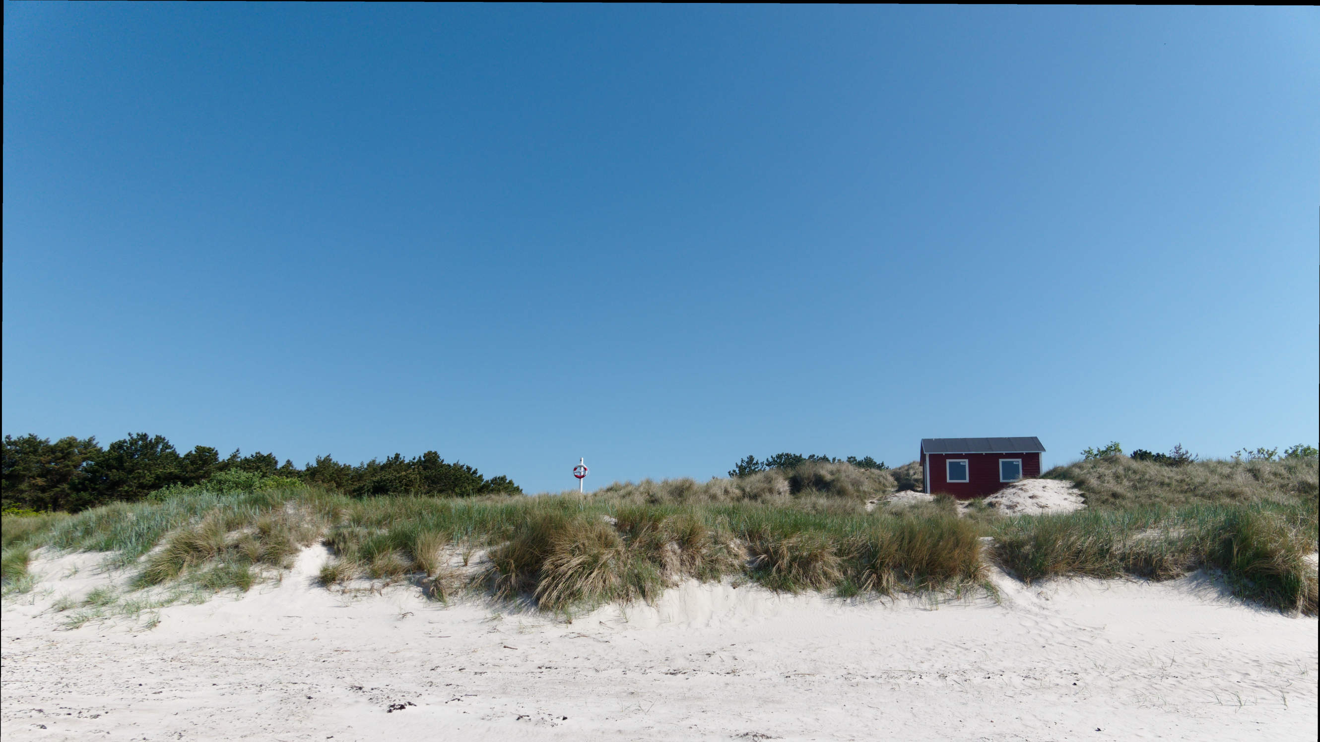 2021-06-03_DSC-RX100M7_DSC00120