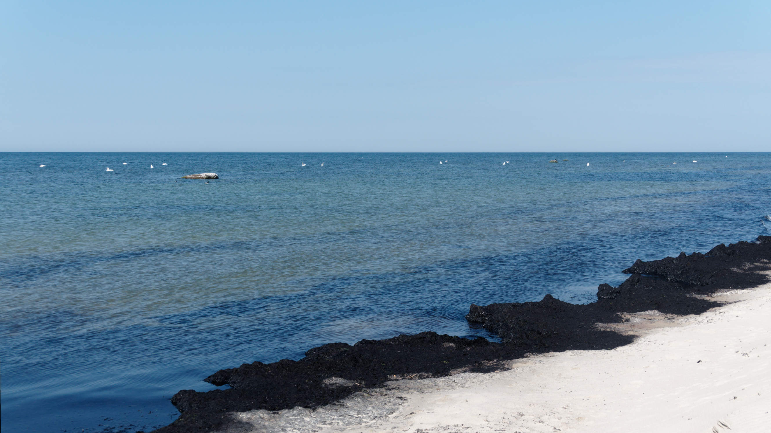 2021-06-03_DSC-RX100M7_DSC00122