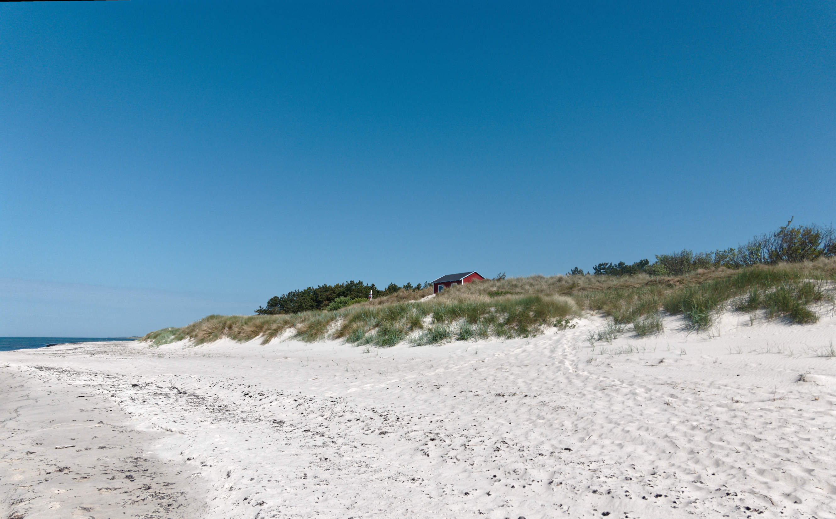 2021-06-03_DSC-RX100M7_DSC00124