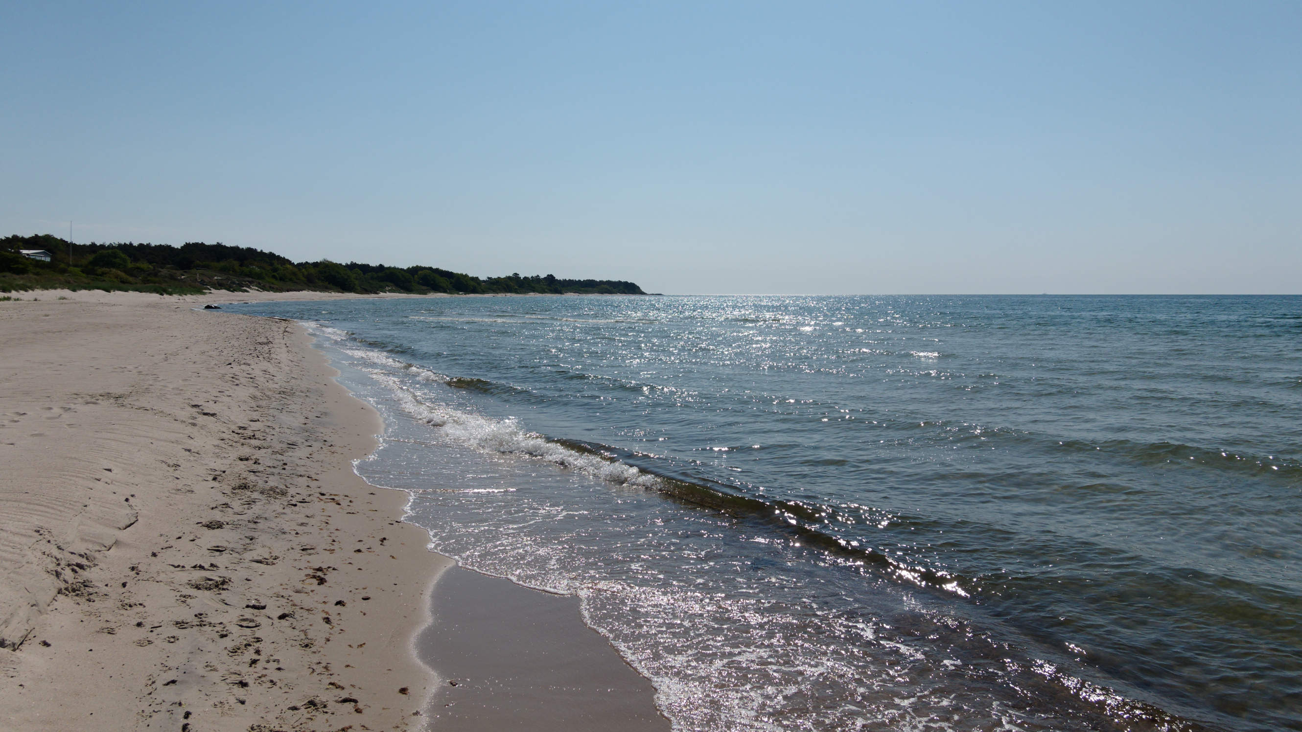 2021-06-03_DSC-RX100M7_DSC00126