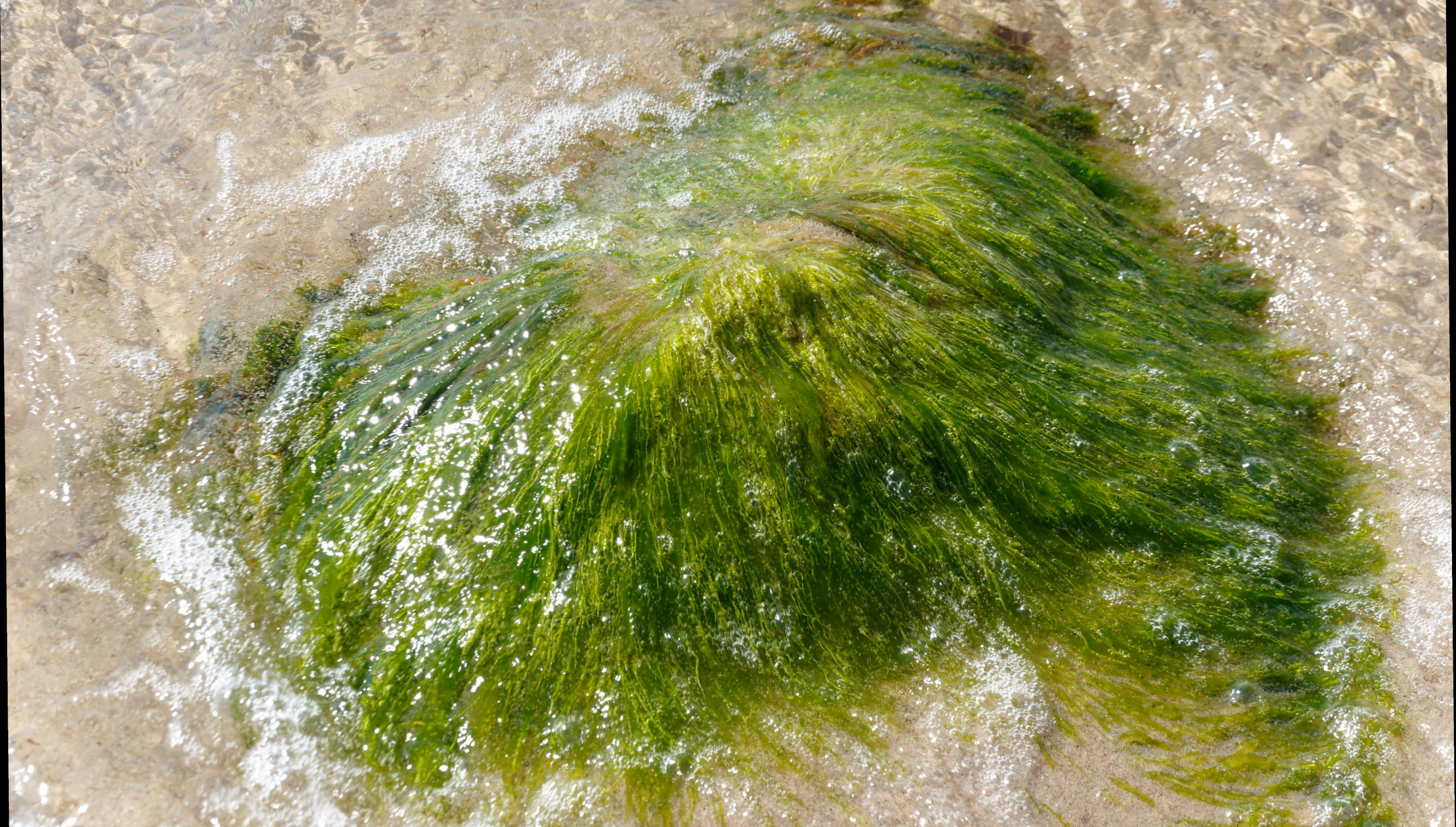 2021-06-03_DSC-RX100M7_DSC00129