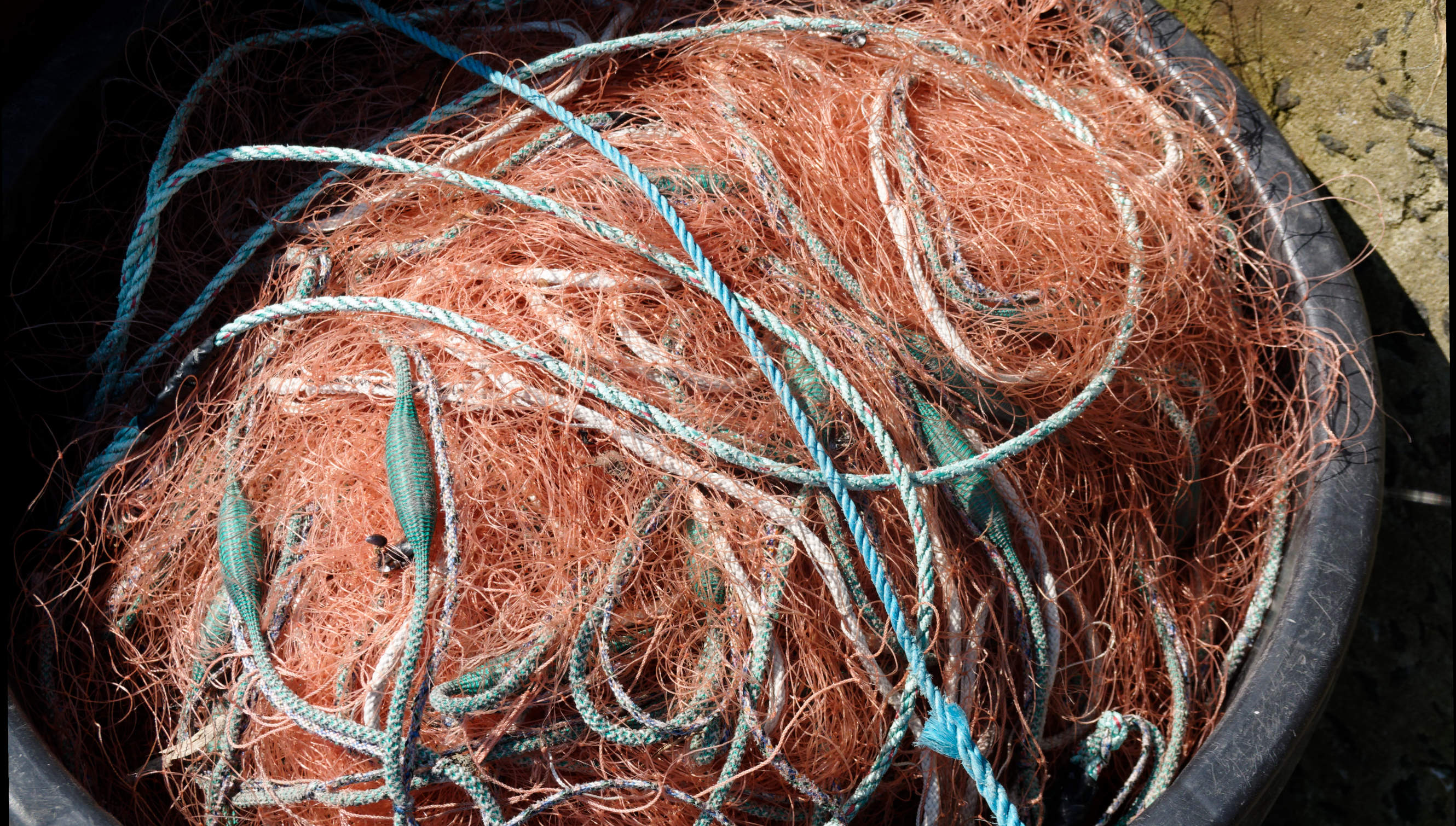 2021-06-03_DSC-RX100M7_DSC00138