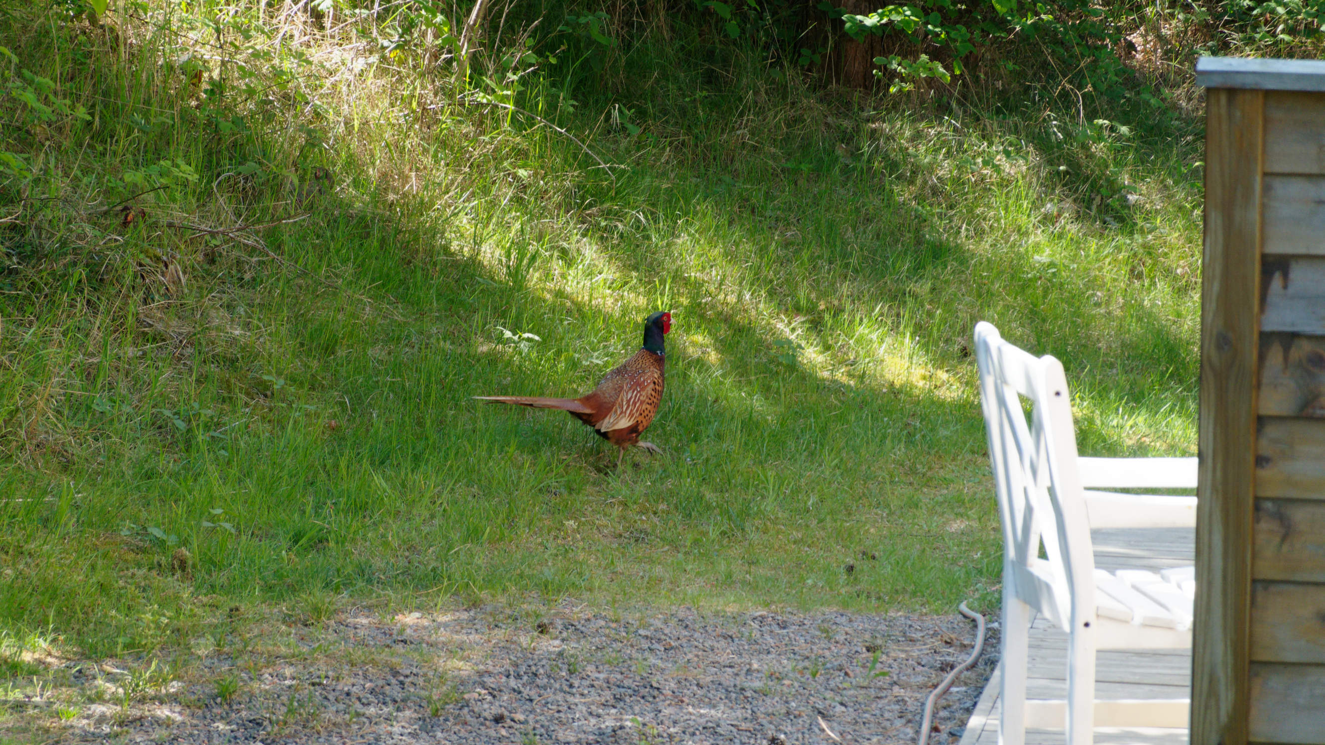 2021-06-03_DSC-RX100M7_DSC00143