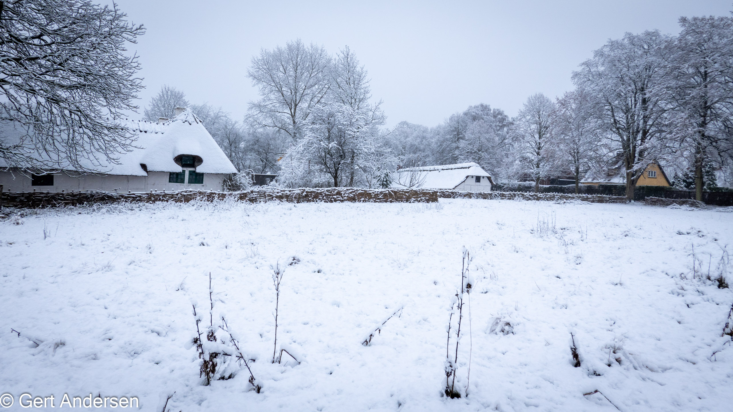 20211211_112802_DSC-RX100M7_DSC02546