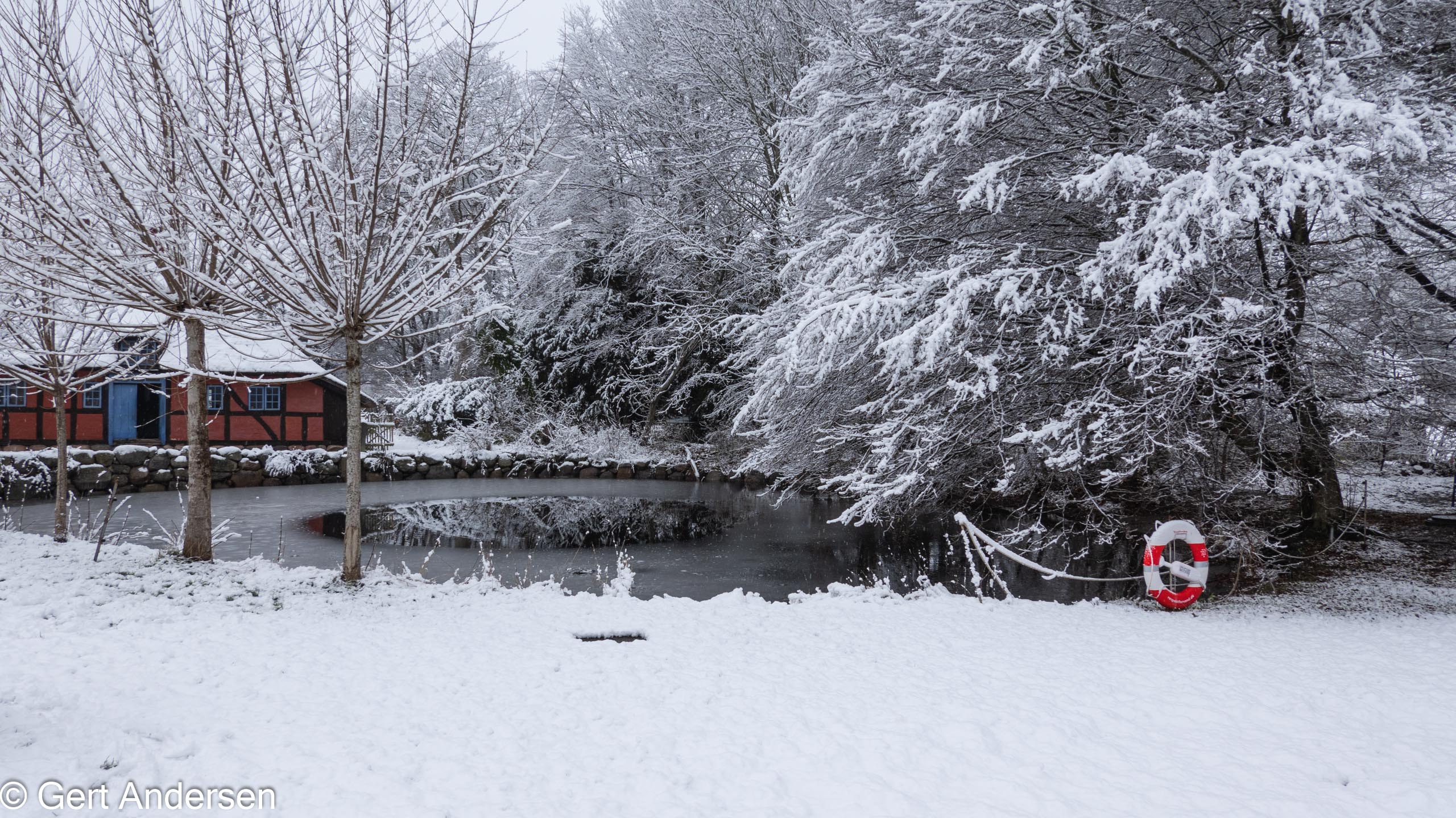 20211211_113728_DSC-RX100M7_DSC02561