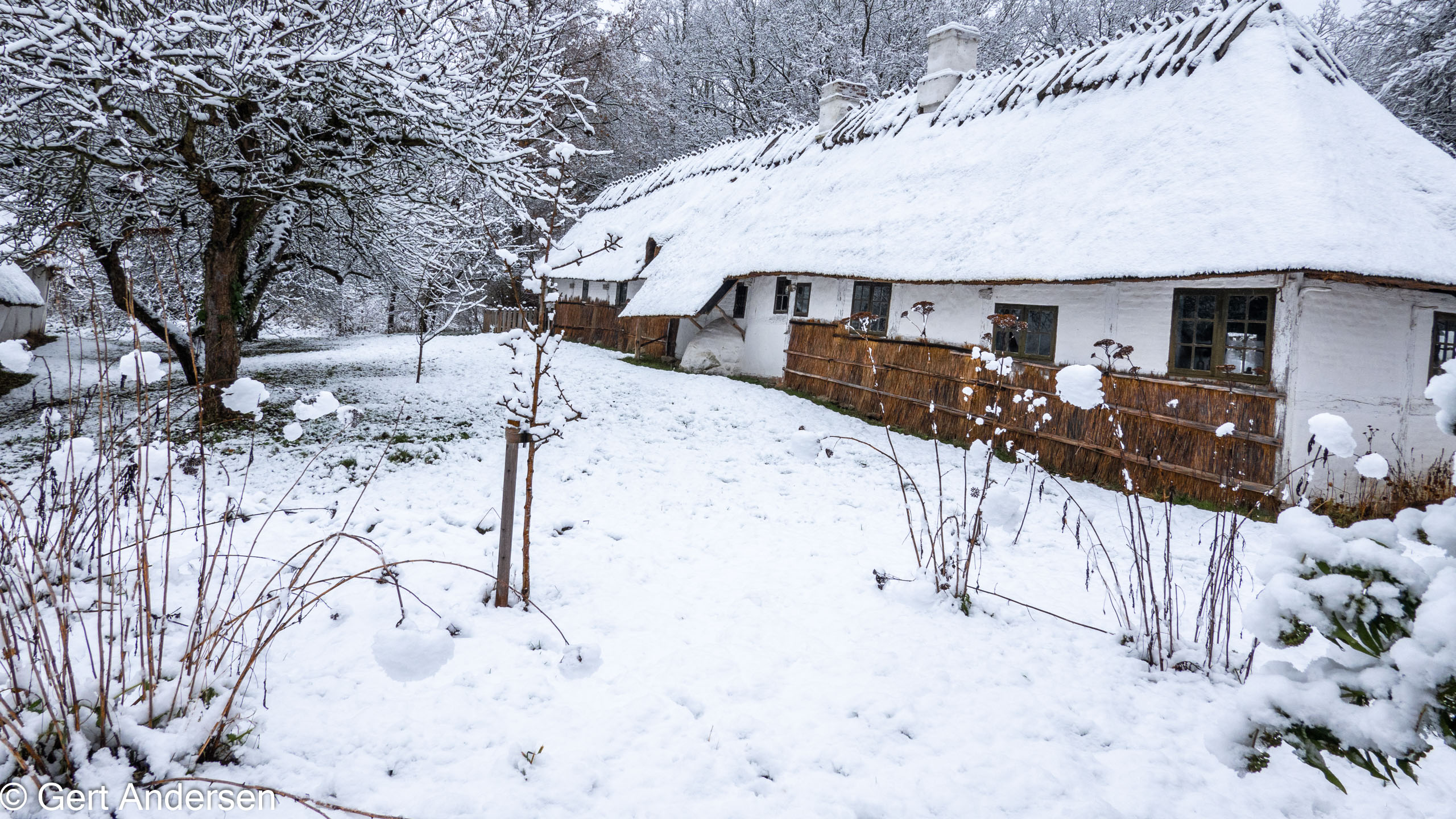 20211211_122642_DSC-RX100M7_DSC02576